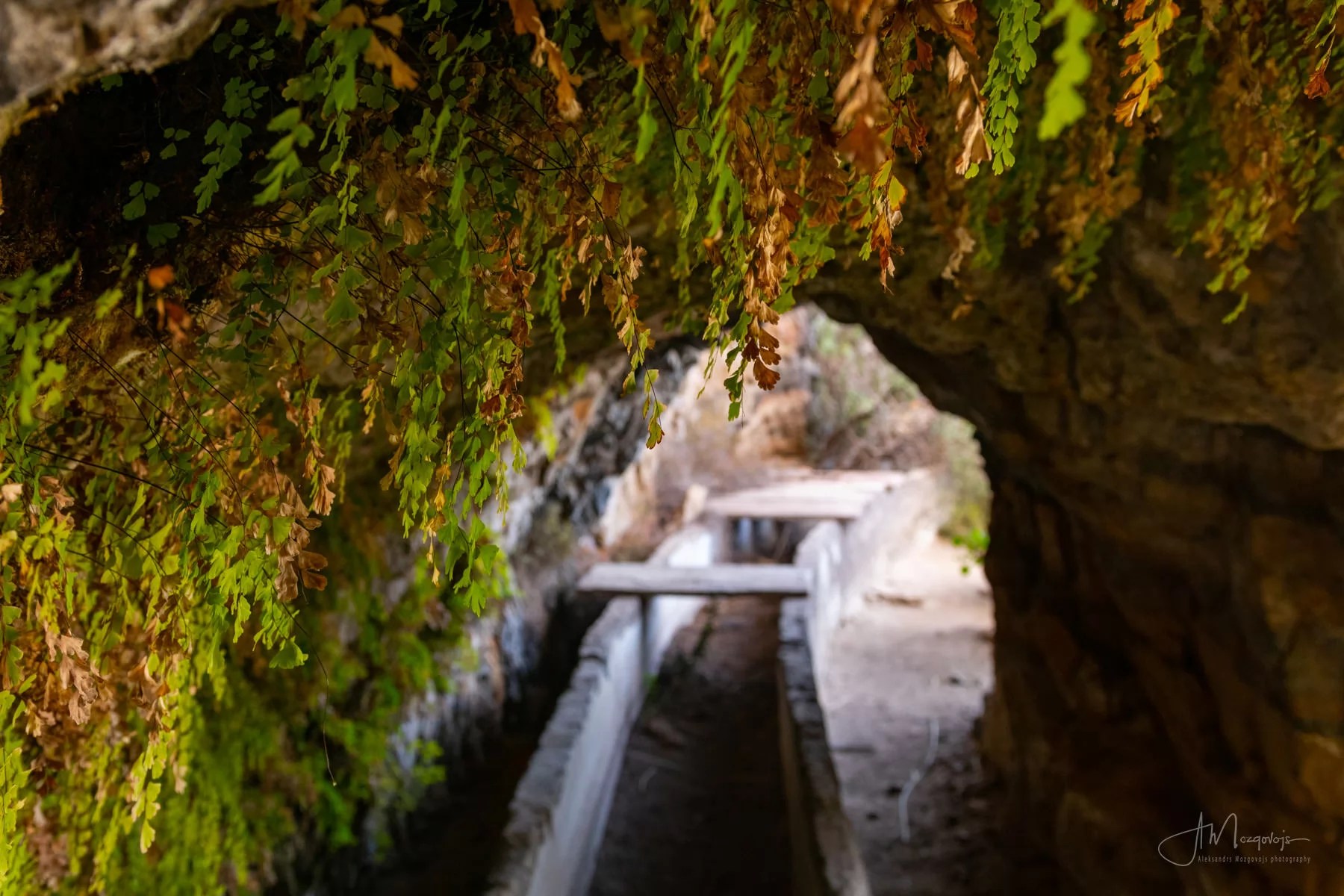 Abandoned Tunnel at Ventanas de Güimar