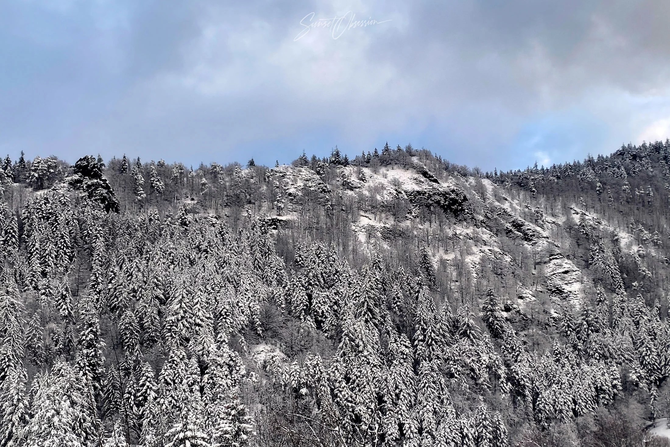 Carlsruher Grat as viewed from outside, Black Forest, Germany