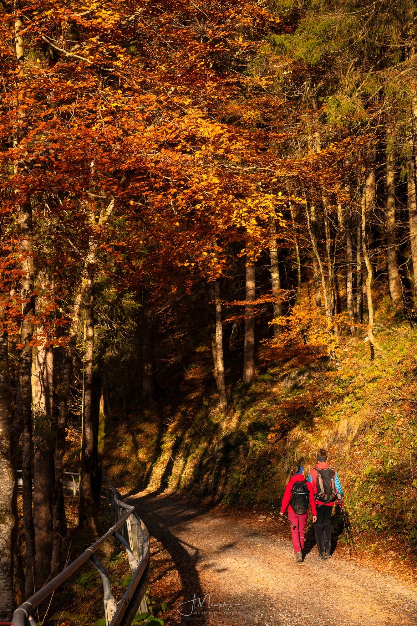 Fall colors near Oberstdorf, Bavaria