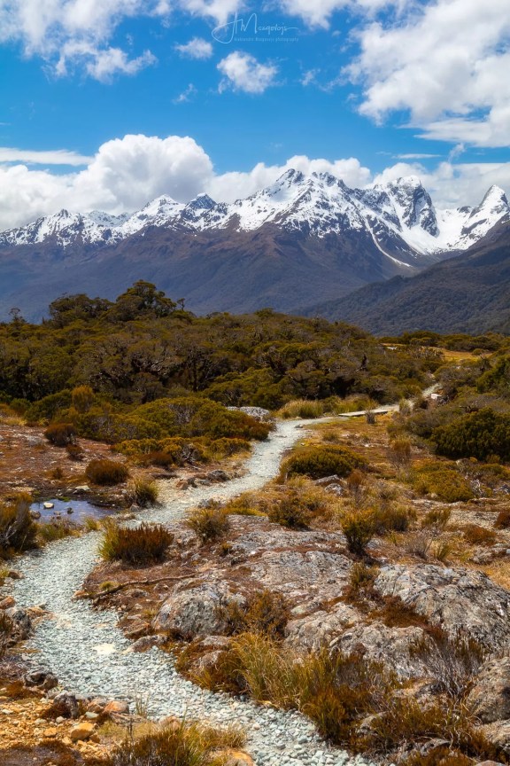 Key Summit Track, Milford Sound, New Zealand