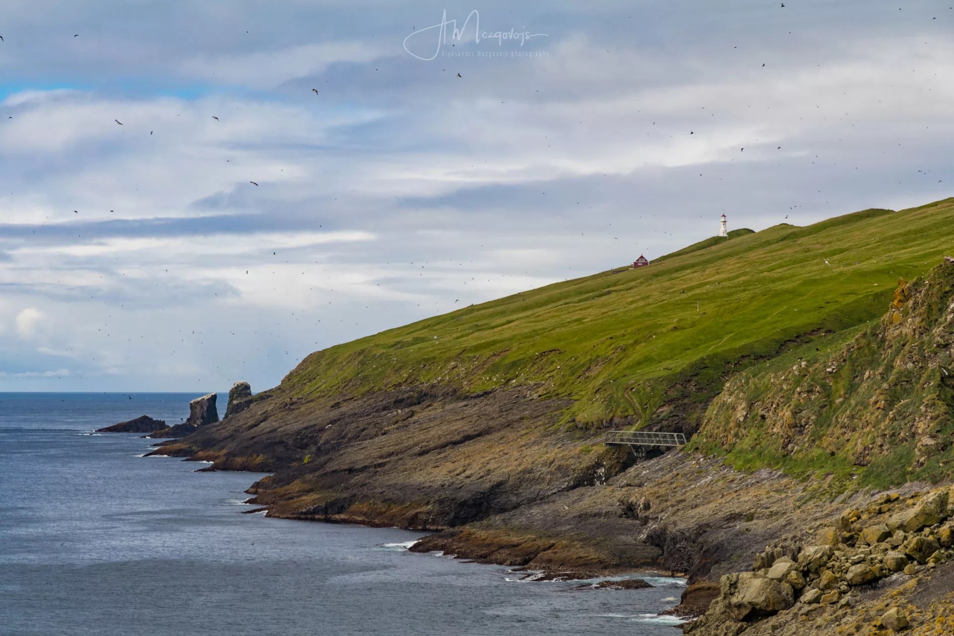Mykines hiking trail leads across the small bridge to the lighthouse on the islet of Mykineshólmur