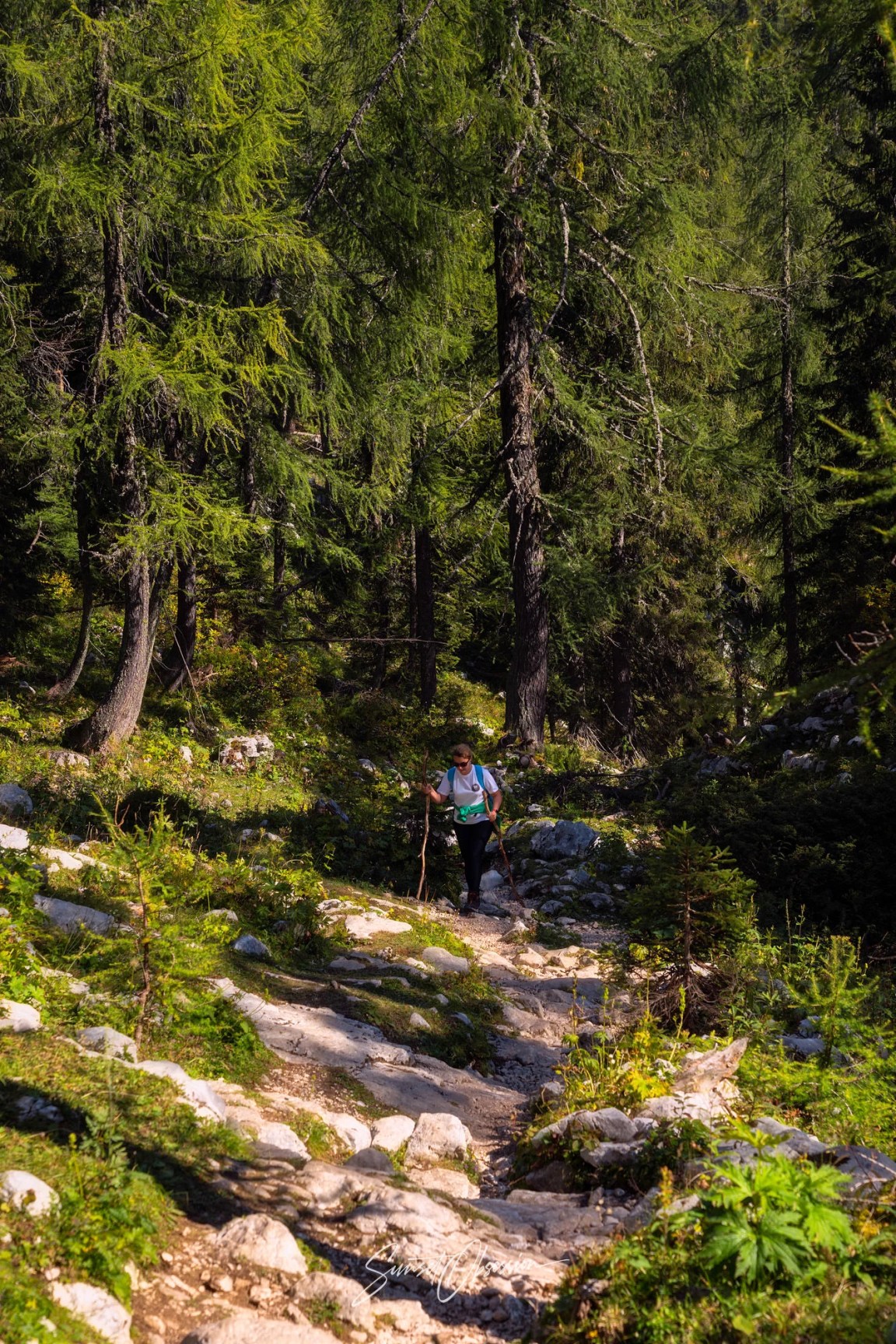 The Julian Alps have no shortage of excellent hiking trails for any level
