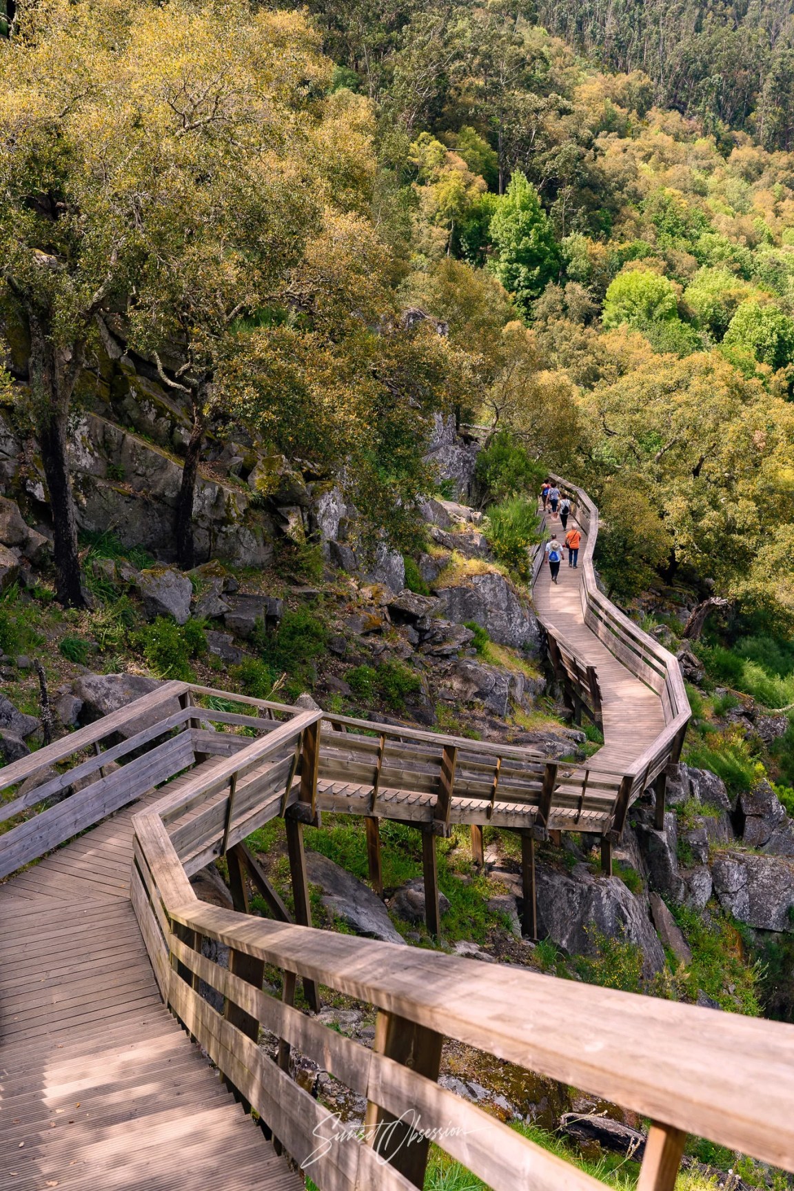 Paiva Walkways is a beautiful hike not far from Porto