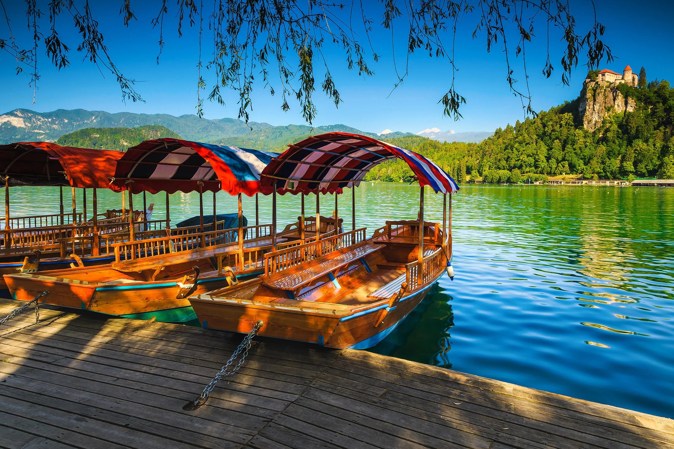 Pletna boats parked along the lake shore