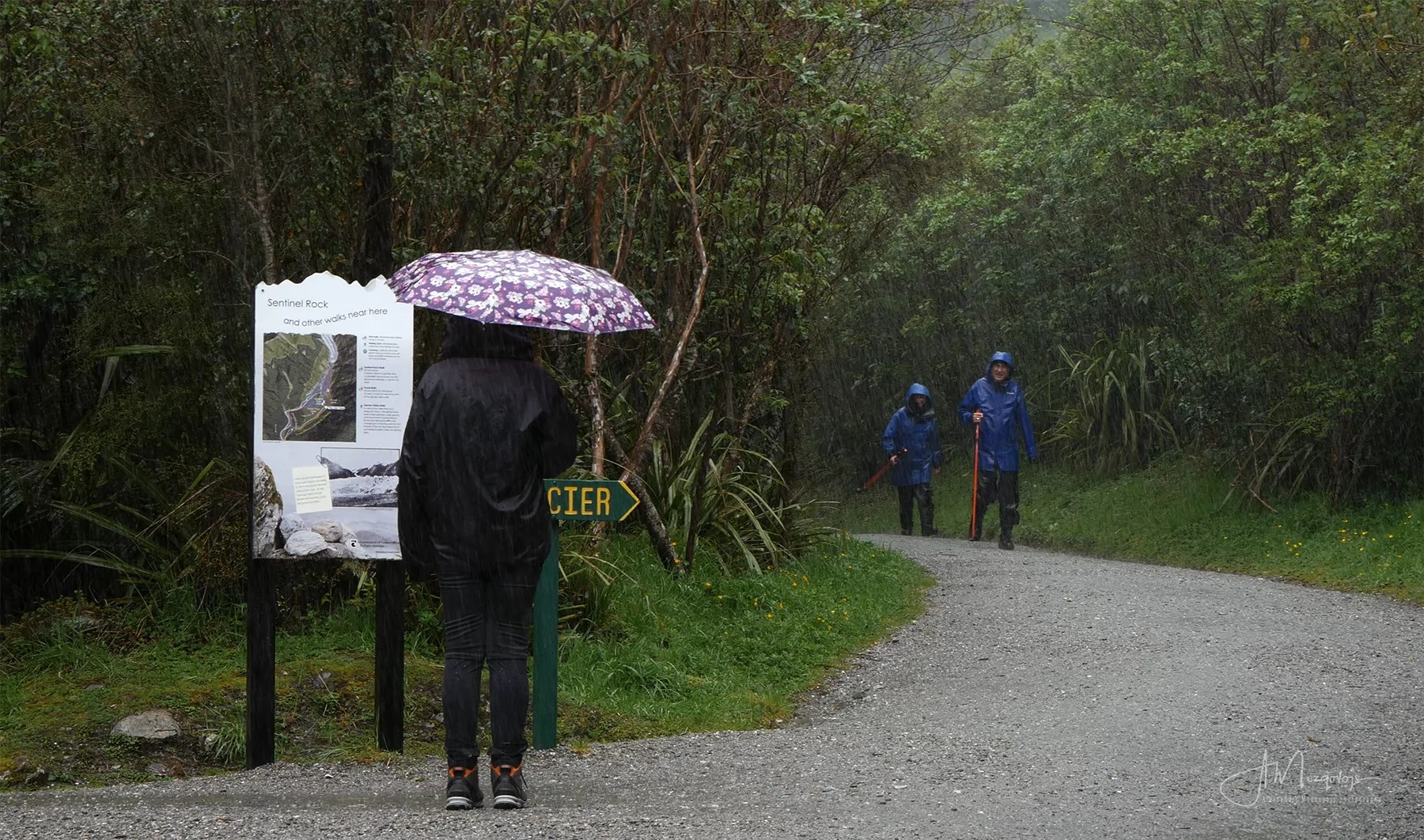 Proper clothing (and an umbrella!) are essential for rainy walks