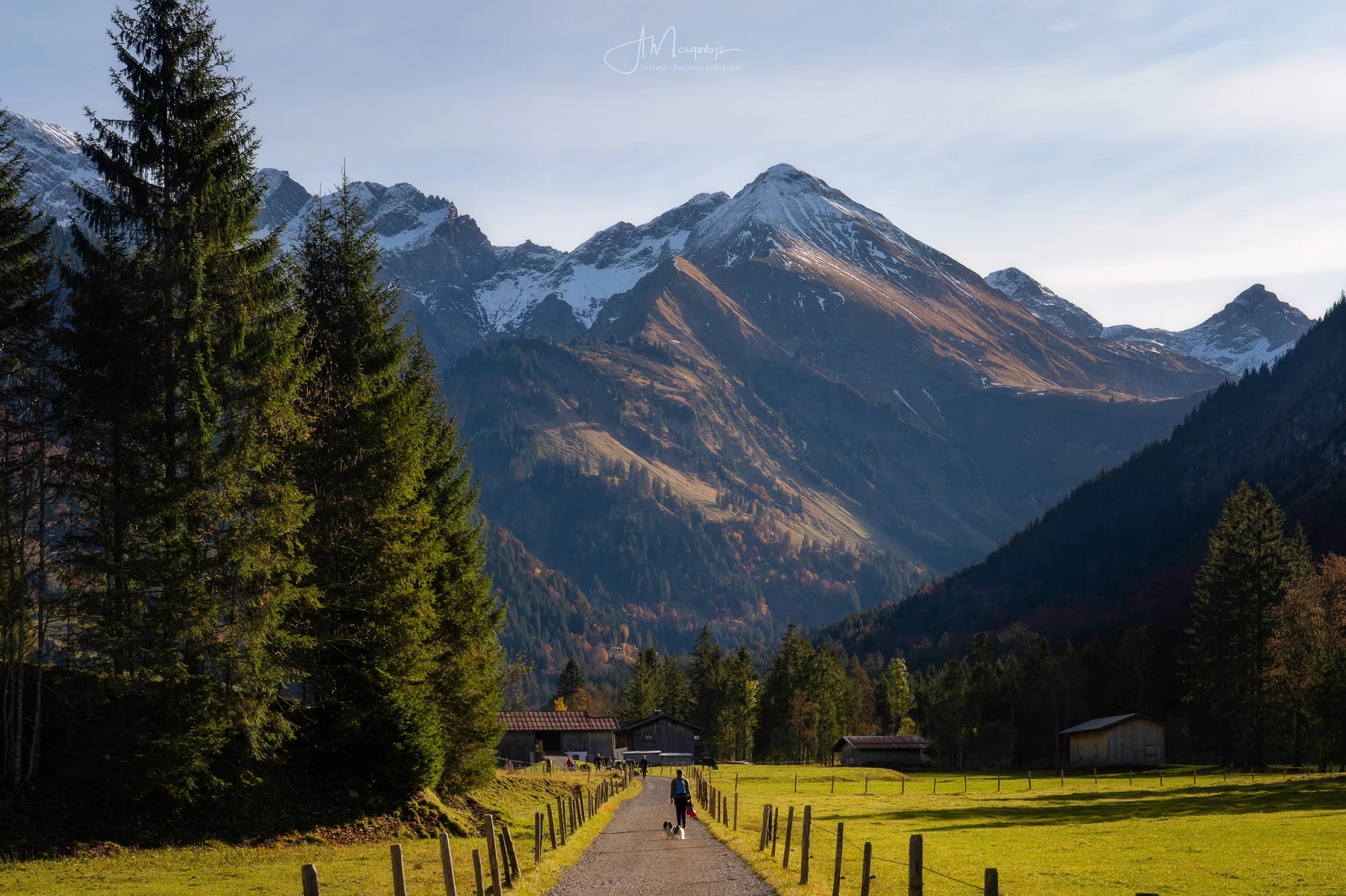 Afternoon in the Stillachtal Valley, Oberstdorf, Allgäu