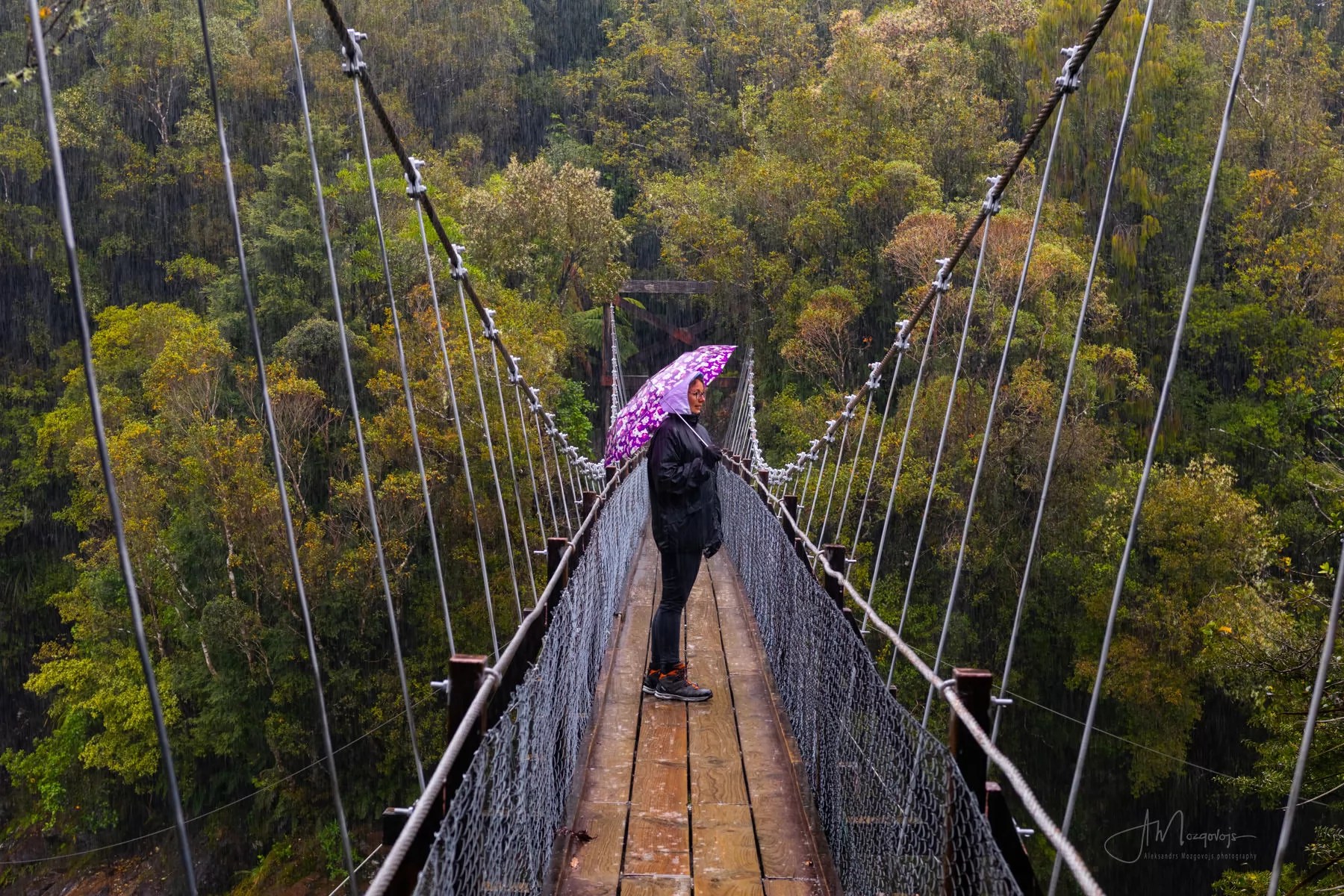 Swinging Bridge
