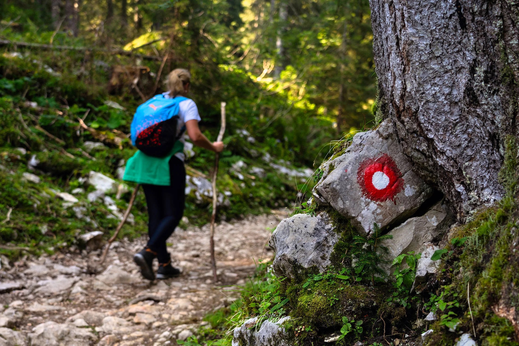 Hiking the Seven Lakes Valley in Triglav National Park, Slovenia