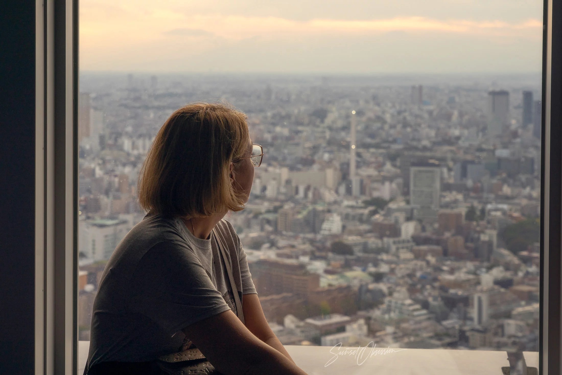 View over Tokyo from the Roppongi Hills observation deck